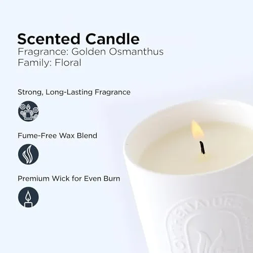 Heart Home Scented Candles | Fragrance Candles | Candles for Wedding | Candles for Bedroom | Birthday Candles | Valentines Day Gifts Candles | DY-230704B | White