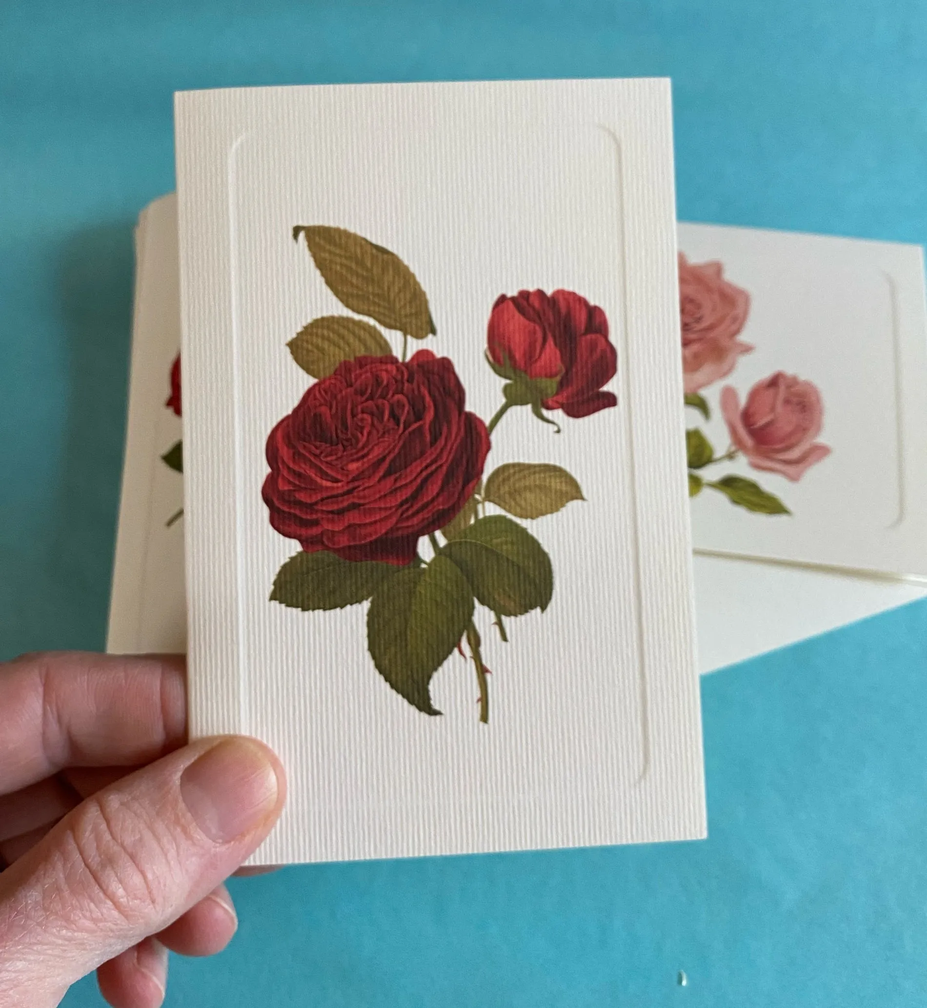 Summer Roses Note Card Set, Four Designs | Rossi 1931 Italian Stationery