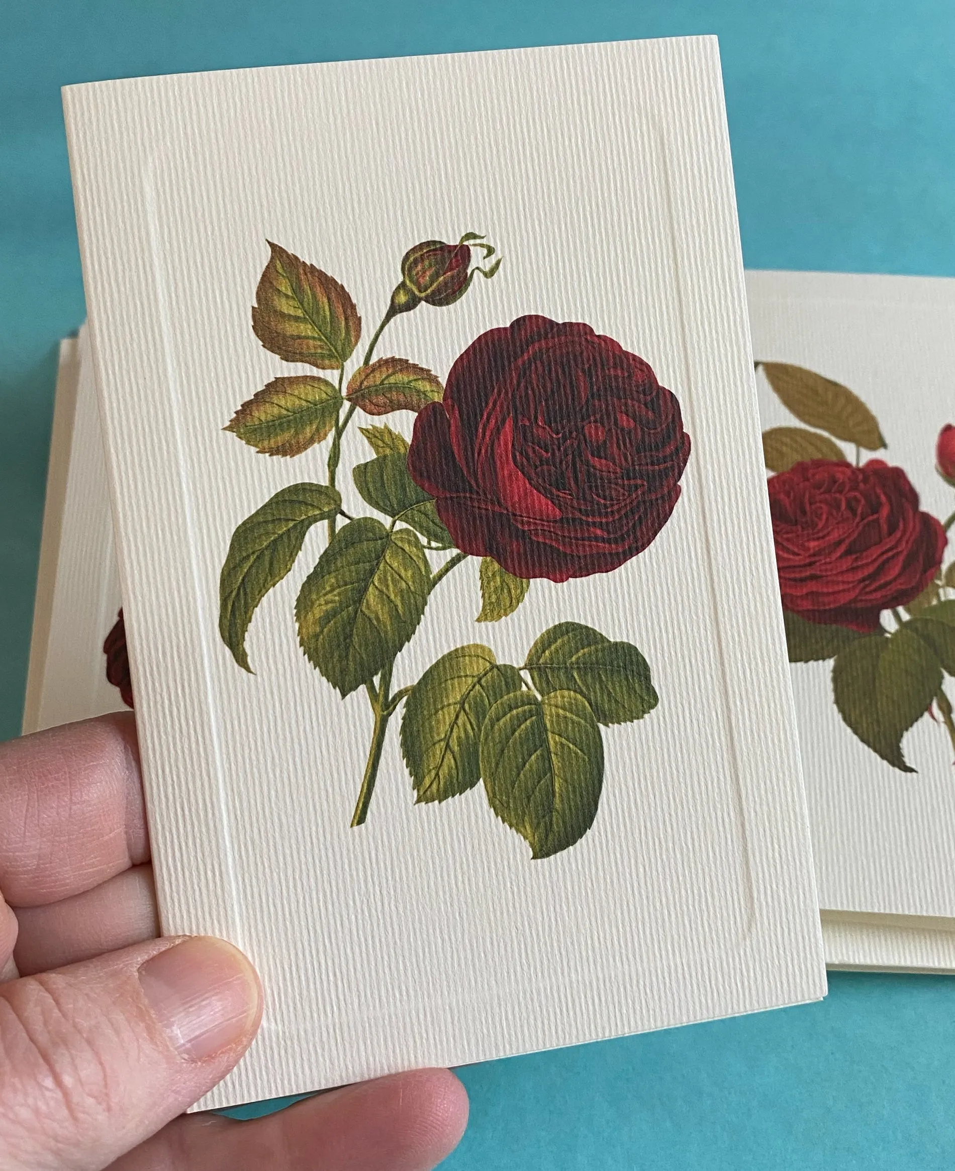 Summer Roses Note Card Set, Four Designs | Rossi 1931 Italian Stationery