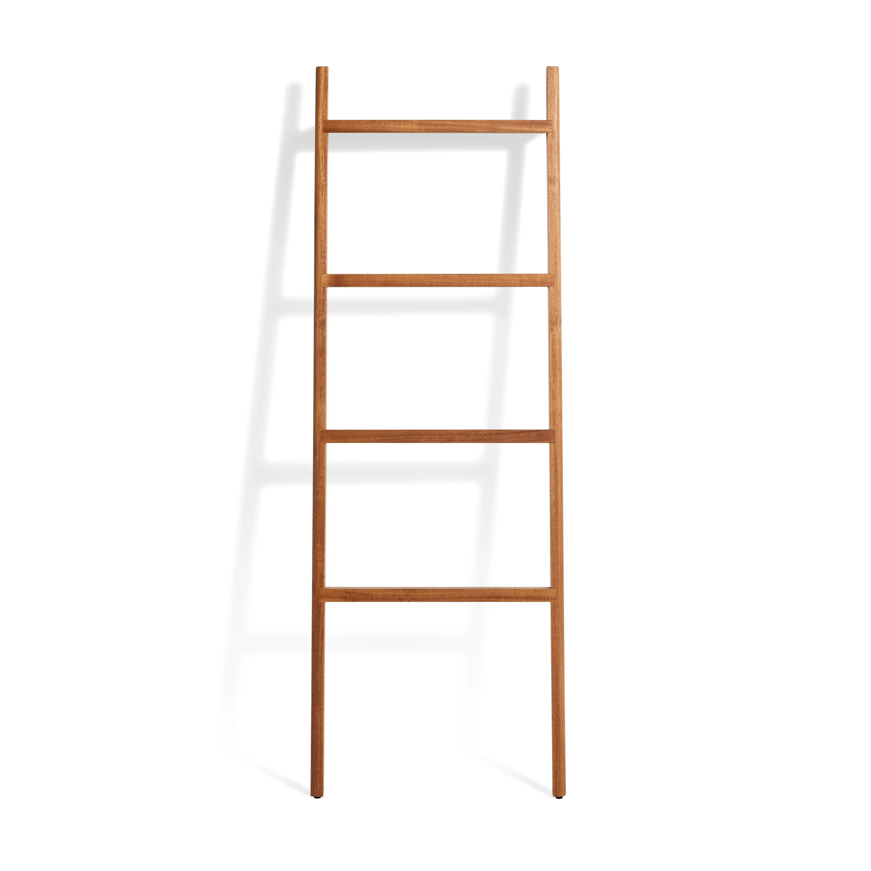 Woodsy Storage Ladder